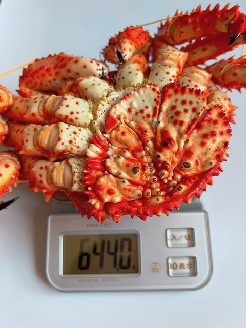 はなさきに、、、にんじん！、、、オヤジ、、、謀ったなぁ～～～ : カサイ商店の写真