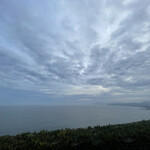 パスタクラブフェローズ - 