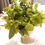 ランベリー ナオト キシモト - Sep, 2013 