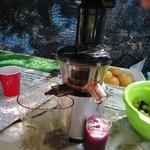 出山果樹園 - ２０１３年