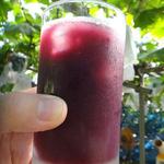 出山果樹園 - ２０１３年のフレッシュぶどうジュース