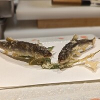 天ぷら 福たろう - 稚鮎