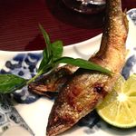 青華こばやし - 天然鮎（長良川）