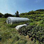 ｃａｆｅ ゴリョウ - 