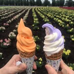 ファーム富田 - 