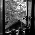 ｃａｆｅ ゴリョウ - 