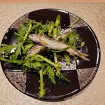 鮨 富かわ - 稚鮎塩焼き 春菊と海苔のサラダ