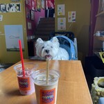 マヌコーヒー ロースターズ - 