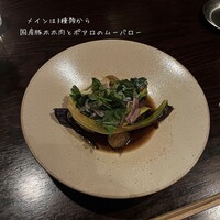coci - 