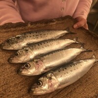 ボニュ - 