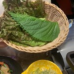 さかうえのポチャ - 