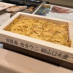 うを徳 - 淡路島 由良ウニ