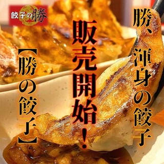Gyoza / Dumpling no Katsu products are now available for purchase on our website! ! !