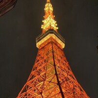 ワカヌイ グリル ダイニング バー 東京 - 