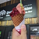 クアットロ・パンキーネ - 