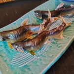 魚山人 - 庄川産天然鮎の炭火焼き