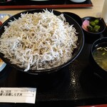 Resutoran Kanade - 盛り放題しらす丼　ご飯が普通盛りでもかなり多いです。