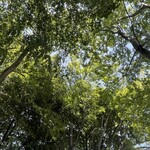 レイドバックバーガー - 