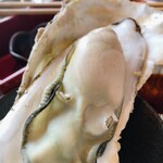 炭や 六根 貝とか酒とか炙りとか - 