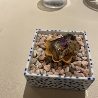 L'ETERRE - 