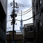 レストラン三好弥 - 限りなく、墨田