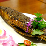 タンジャイミールス - 