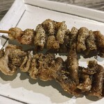 Teppanyaki Wasshoi Xtsu - 