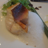 レストラン マノワ - （本日のお魚料理）和歌山のホウボウのポワレ