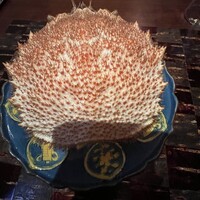 龍吟 - 