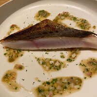 NeMo - 
