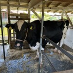 Oracche - 施設内の牛さん