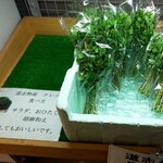 道の駅 どうし 特産品直売所 - クレソンは外せない