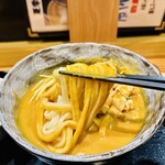 手打ちうどん円清 - 冷やしカレーうどん