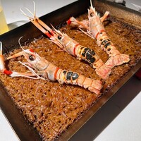 TexturA - 手長エビ