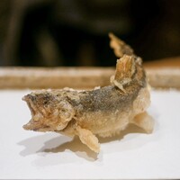 日本橋 蕎ノ字 - 