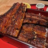 炭焼 うな富士 有楽町店 - 