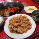 Tan Ya She Rou Hinabe - 油淋鶏定食