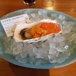 Oyster&Lobster Ambiente - 