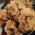 Karaage Hitosuji - 