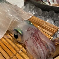 磯ぎよし 天神店 - 