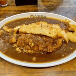 吉象カレー - W豚カツカレー、ルー大盛り