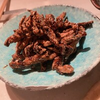 CINA New Modern Chinese - 