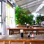 根ッ子うどん - 