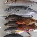 Kitamae Sengyo Yosoro - 五島直送天然熟成鮮魚