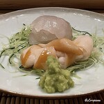 御料理 寺沢 - 眞子鰈と白とり貝とも称される石垣貝の造り