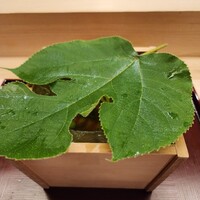 麻布十番 ふくだ - 