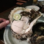 心粋厨房 獬 - 天草産岩牡蠣・・。