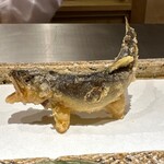 日本橋 蕎ノ字 - 天竜川の若鮎