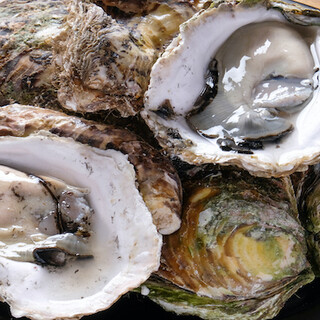 Oyster, which can be enjoyed all year round, are a must-try! A selection of great items that go well with alcohol