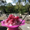 Karuizawa Burger Company - 軽井沢天然水のかき氷800円
